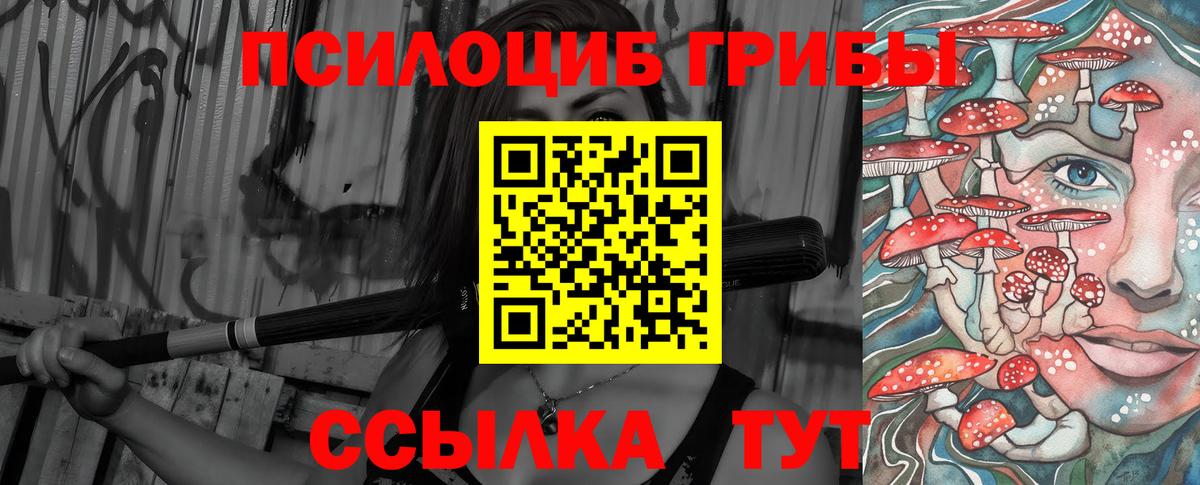 Псилоцибиновые грибы ЛСД  Псилоцибиновые грибы Cubensis  где купить наркоту  Вход с VPN  Тихвин 
